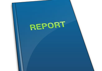Reporte de Identidad de Marca